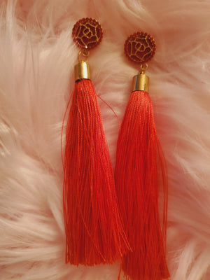 Beautiful Tassel Earrings