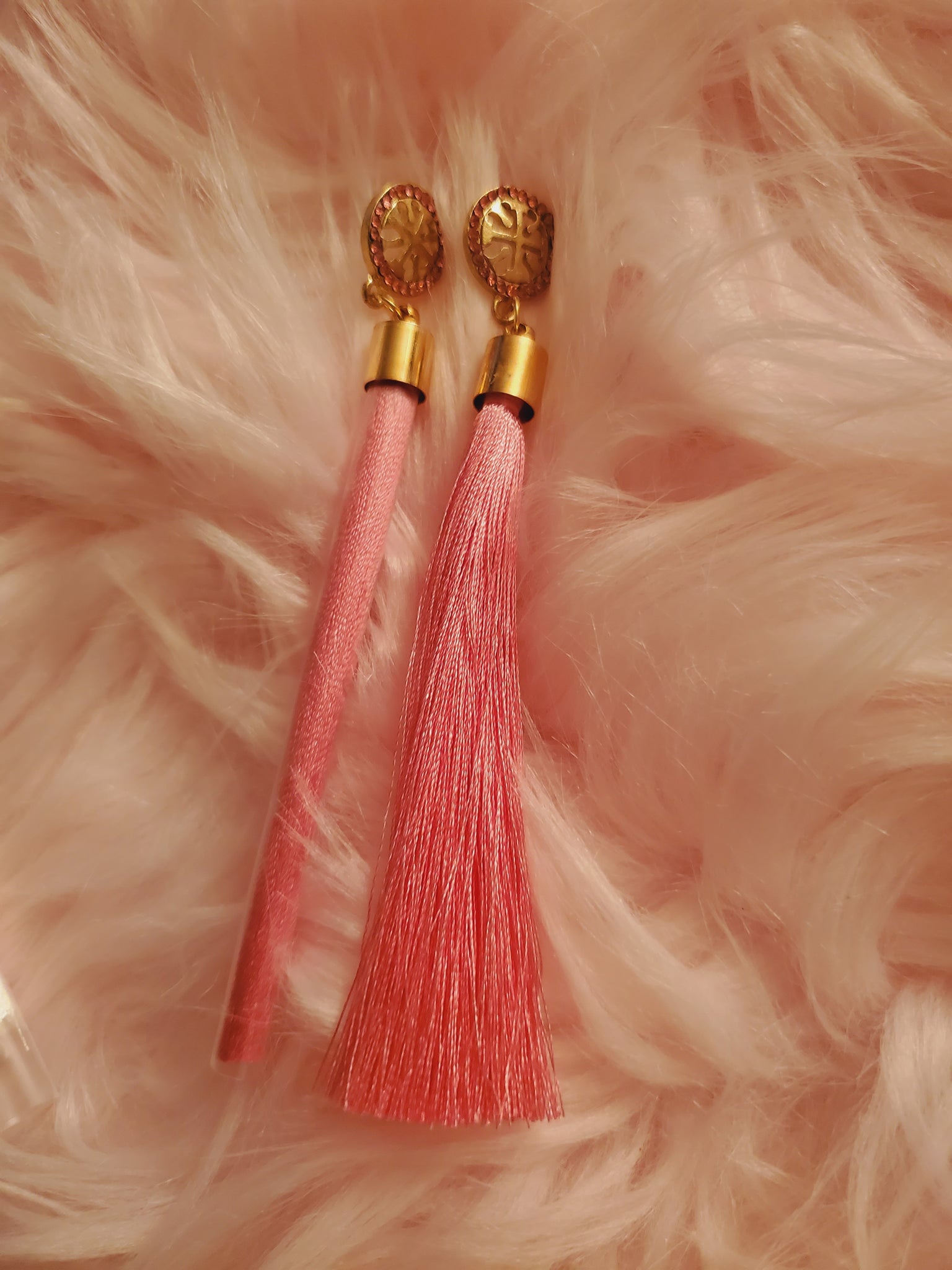 Beautiful Tassel Earrings